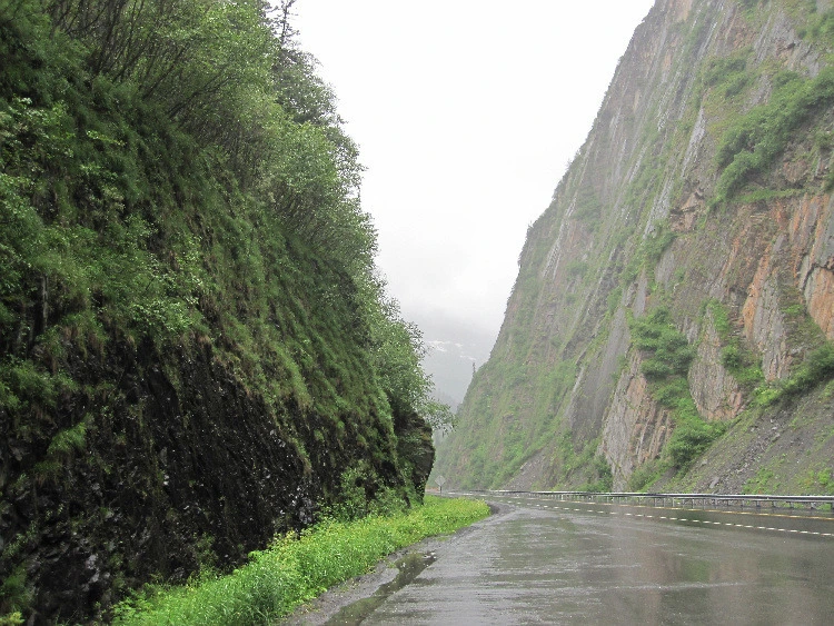 80c13ff64ad098f45c143d79cea732413427d389