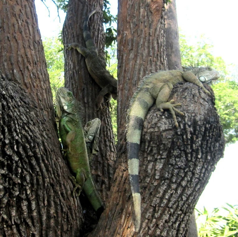 a069f4eabcdda6b60d75270c64f8df715020bbdd