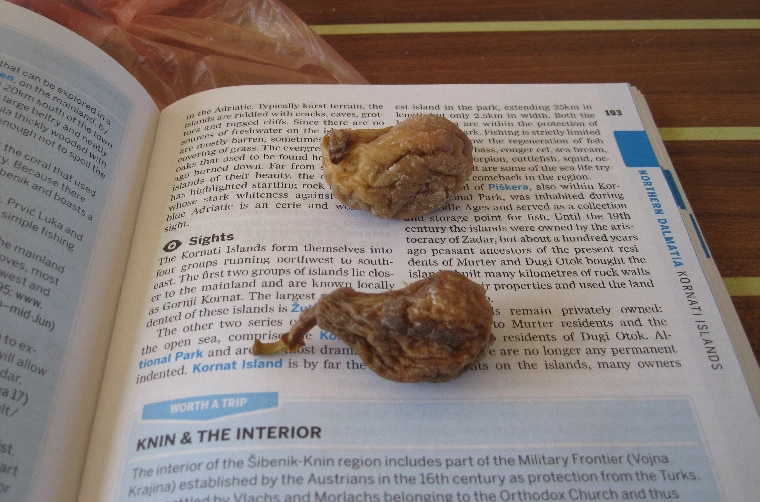 6a332ae9be3841ba658e2e138f46817aab084345