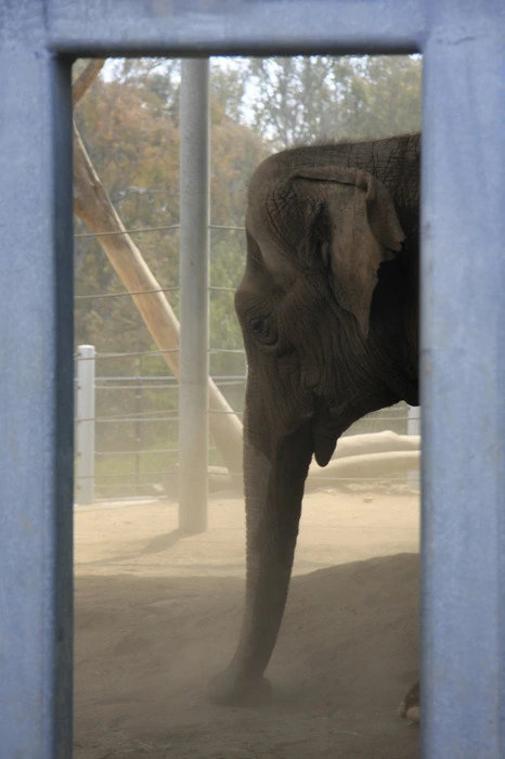 1df2b120b917083a03ec45d9fb7be1fbcb8c7bc0