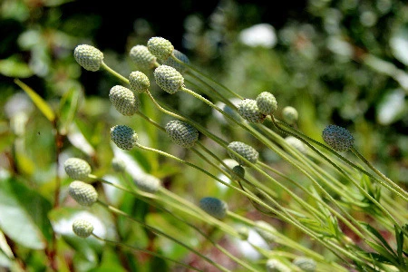 6863629c6359ceb889b648a18edae88e9a6ba2a9