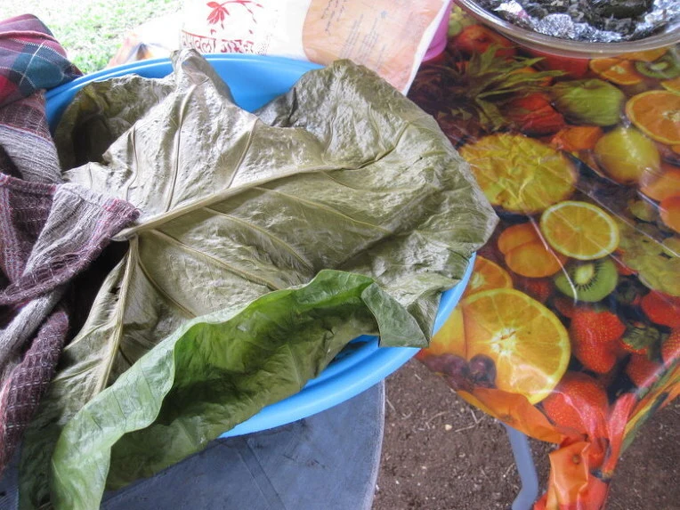 a7d35bbcbf3d7ce428eafd6a7658cc3d99421112