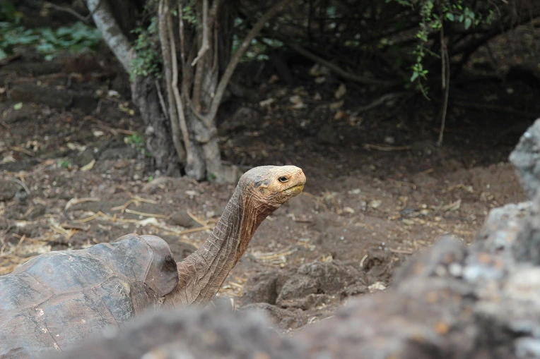 335520cf063391b0a135c1aa3f6290f569d6ff4f