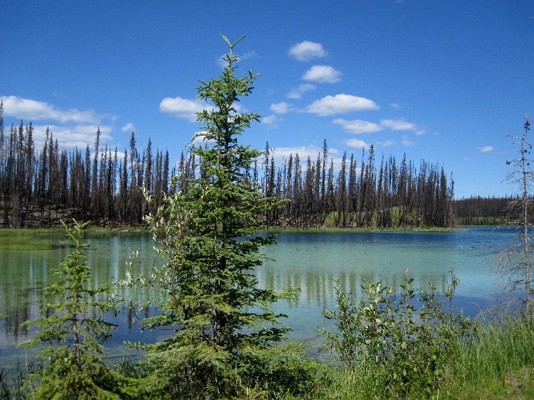 a3b8a3781e9cfb9690a0fb14196429ae975b6f60