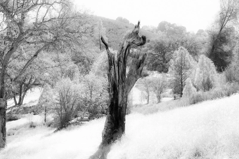 99D3D03D5DD1C0F432F1C8