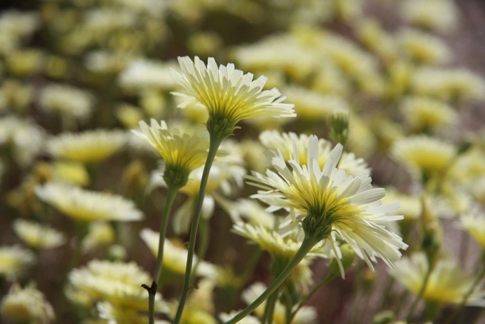 17124C1349F34AB713659D