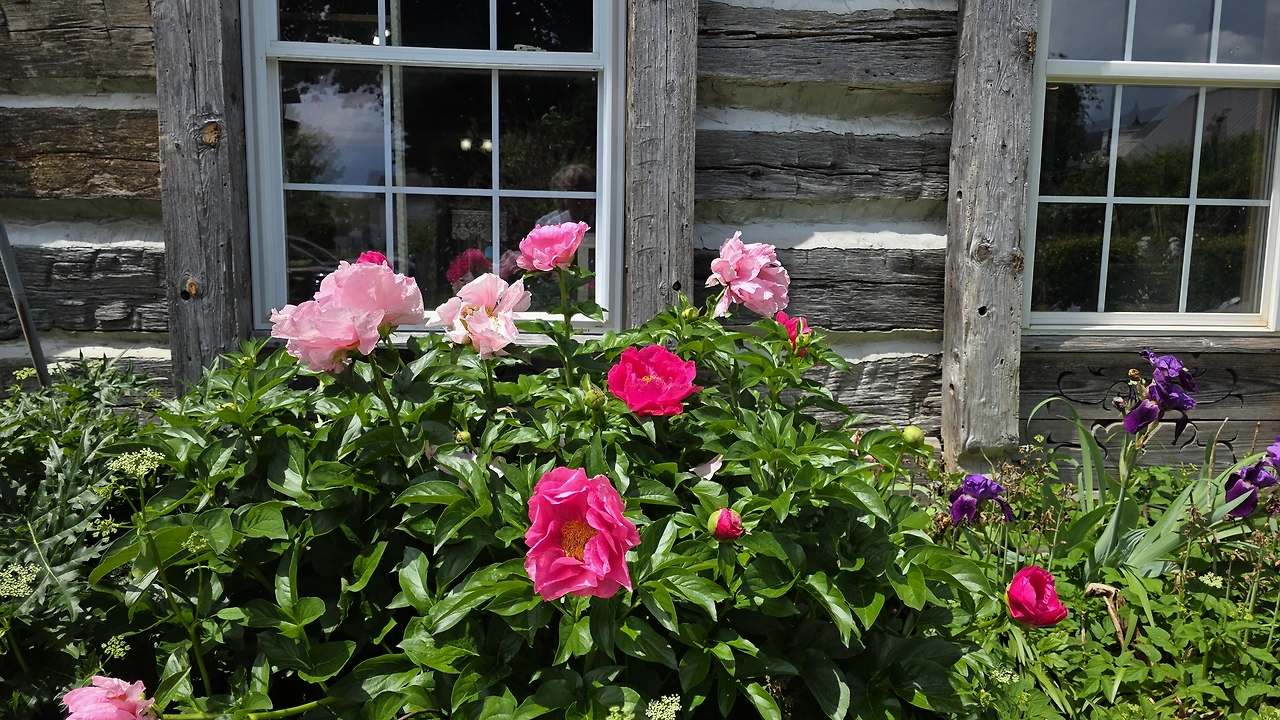 fc46f3549f1029b50727928f03ab19b84c4a2260