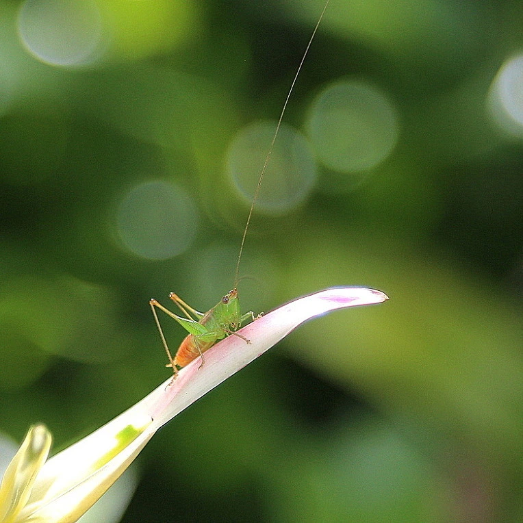 a4666f05dfc94aaa621b1c821632333ce0c0954f