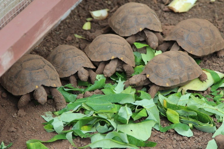 3072b54302188539b1fb847c4b47523f23d63ceb