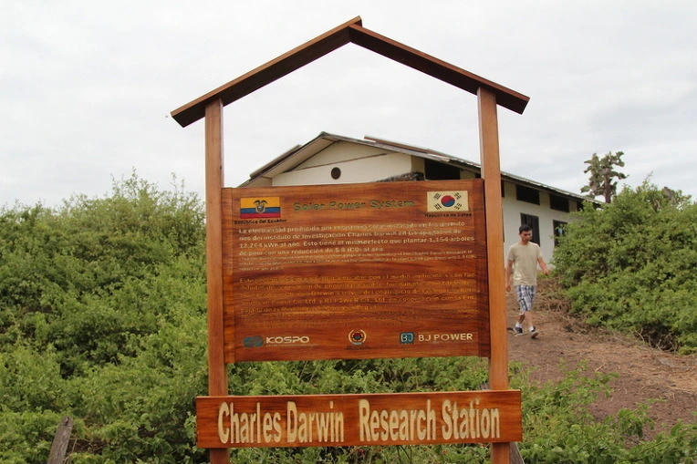 261337bf7fb8238c256addbef48b8fe765edcda5