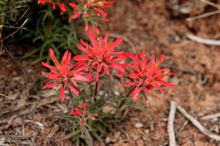 ce4f25d93b73df4fc3534147fd4a6332b0f60f3c