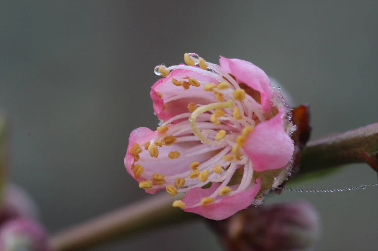 f281f69ad75cf9820d09dbeed7026616bf3fa7be