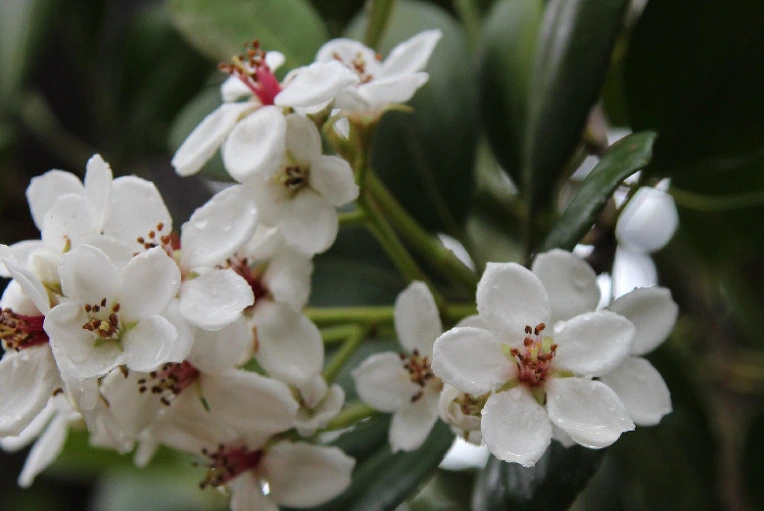 694ad13cf90a95f673d4baeb53e9eaf5aa18c6e6