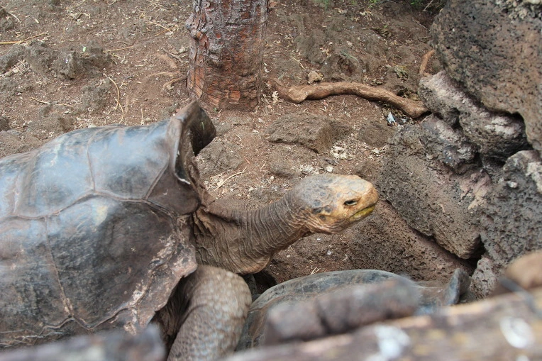 34f98085eb777682a8656679ea631353caa6b951