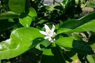 f6676492769a8570d31231ff27c514d523b33f26