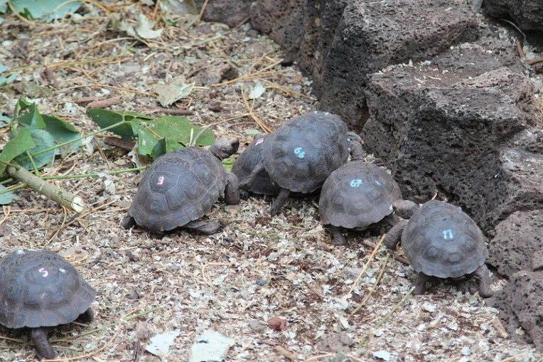 368337e8496d3db617f09a5d0d403c0d0dd94b04