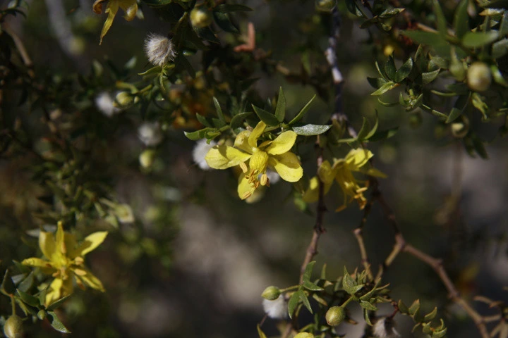 8ca89394d6899d5316212ad219c603aa1b729cf7