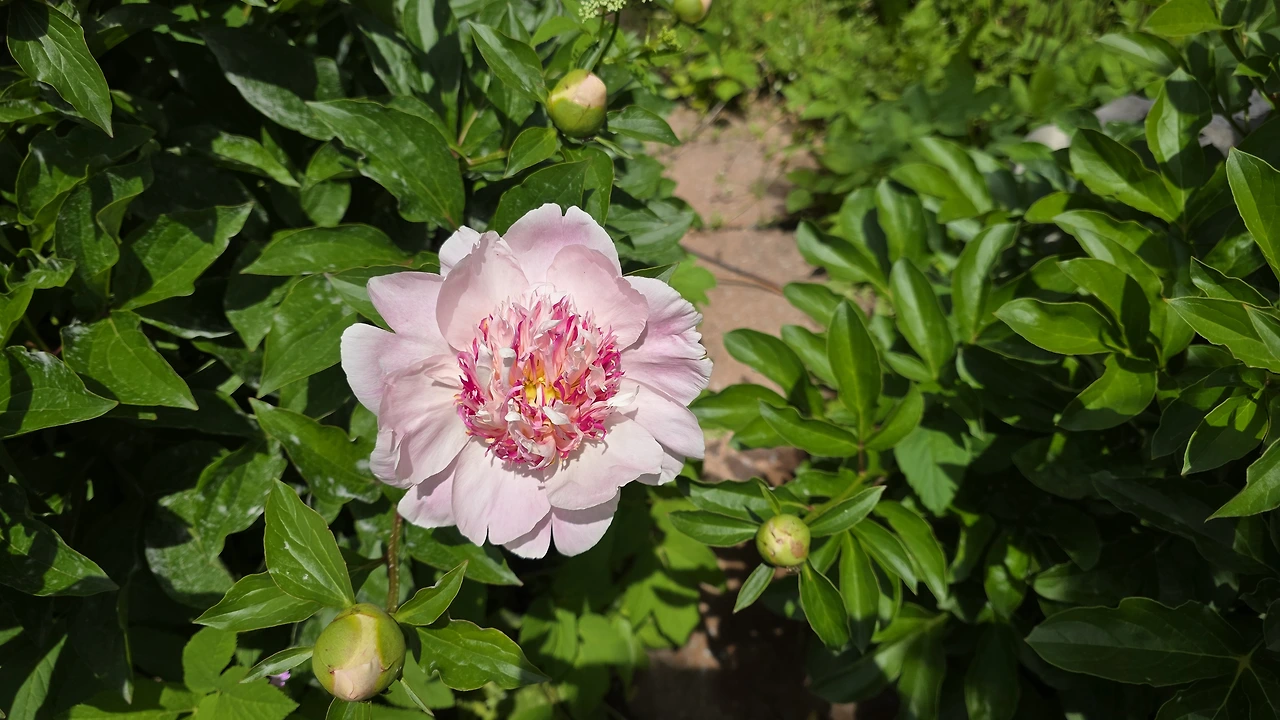 2a8cee7cfa03fe13e3f1ebaeeff0ae0842058aa4