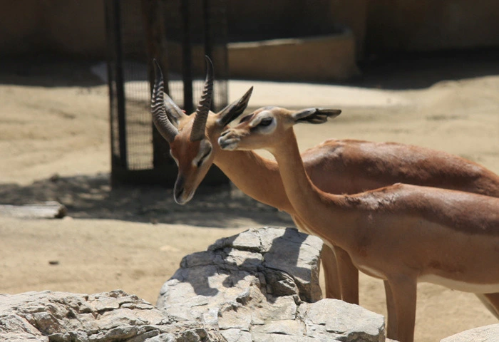 642a06c5b7eaca5e91733c02c52d54ffec754b8d