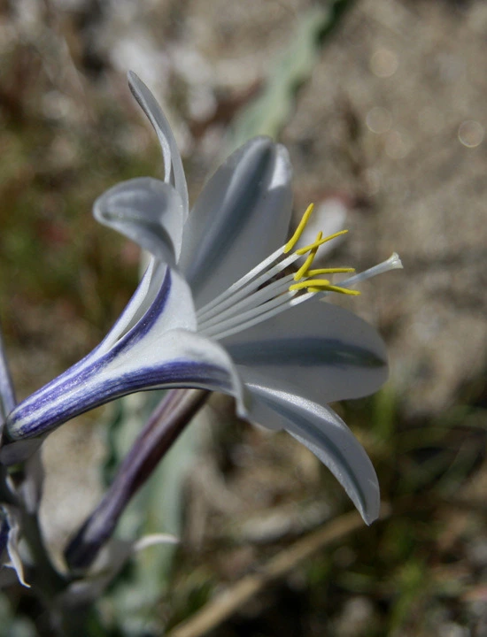 2a792a6bd8584b38e312e218fe2b0e256d6063cd