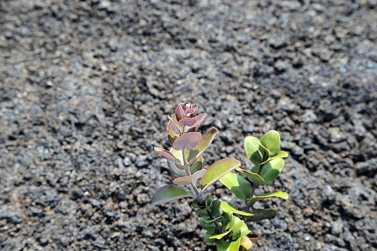 de39dbd22e431463d87761cfbfcd02d9f2ccd339