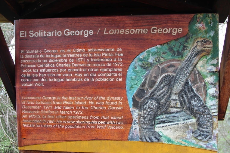 68e53200b00f924d3a80fdcb14ae81b982e7ca00