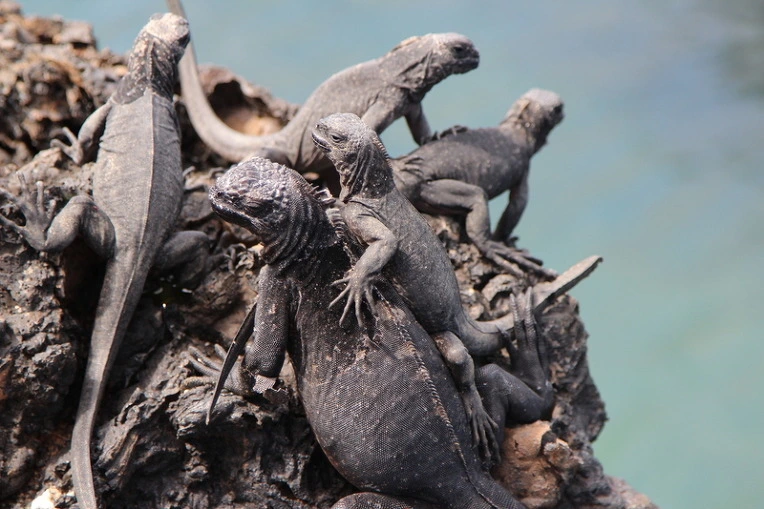 fb04482c44ad84fcc344d76e4b18078eac7e9620