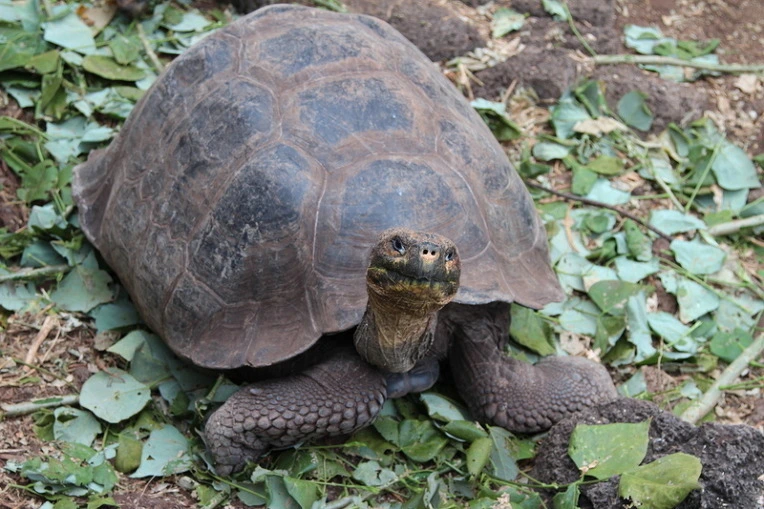 858437f9e5a4185ccd9e85dfeb960c4c9adc9863