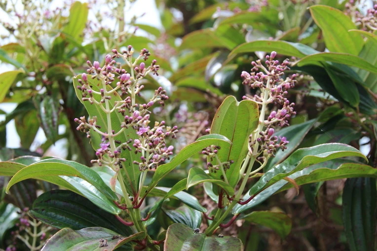 46b1ab197cef048c30d1f033d1c5a8152b66aa2e