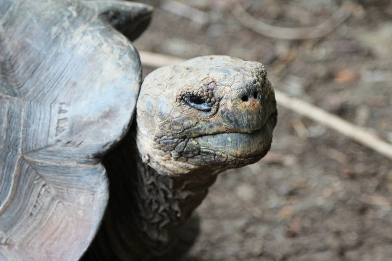 4f9457f2ab6de153f9acf11ad3677b105f2bab2f