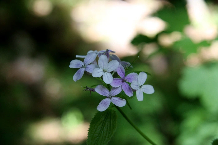 8906c6ee8e113cabe31106a7128f7cb43de2527c