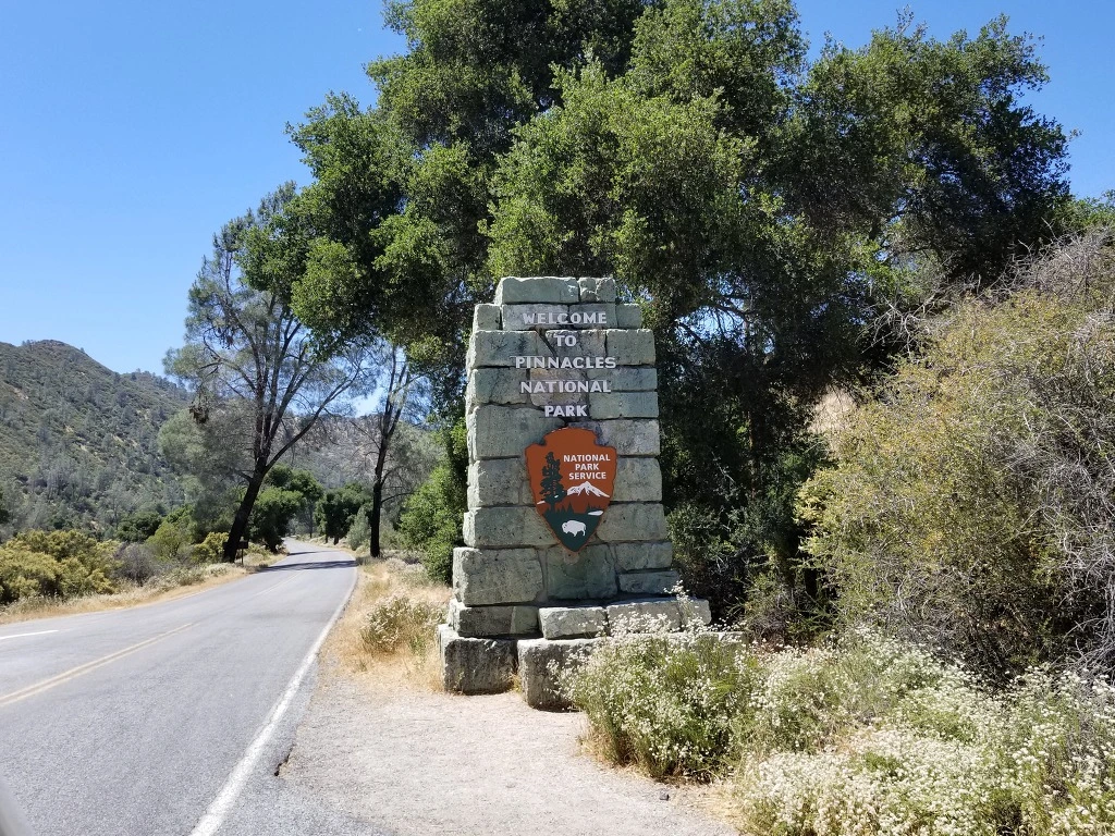 99E0044E5DD1BB7216EA43