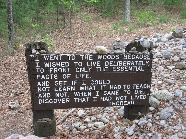 eab61f9e20075d9b1a673f0087153a3957ef1d81