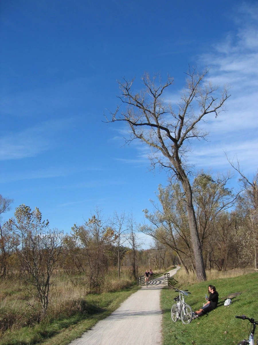 1590380225252.jpg?type=w966