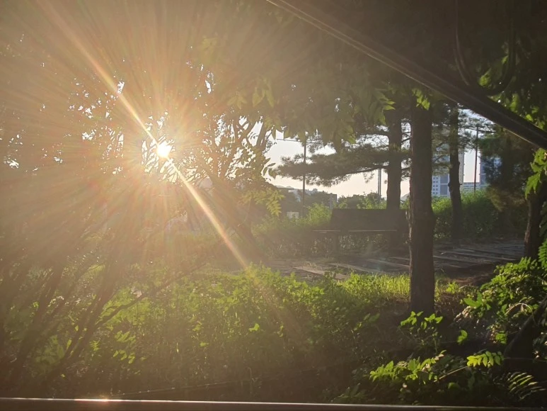 KakaoTalk_20240513_135409499_02.jpg?type=w773