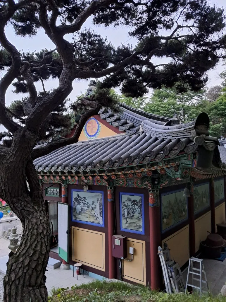 KakaoTalk_20240605_054657906.jpg?type=w773