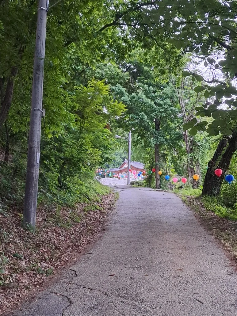 KakaoTalk_20240605_054657906_07.jpg?type=w773