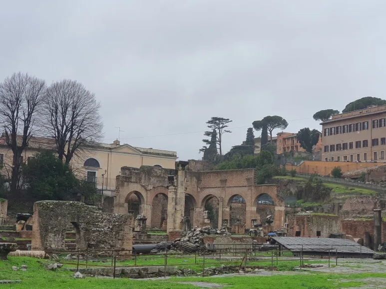 20240117_151653.jpg?type=w773