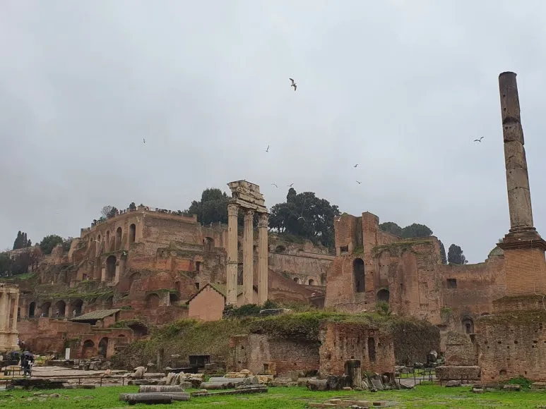 20240117_151932.jpg?type=w773