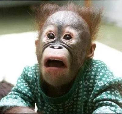 -99372523.jpg?type=w420