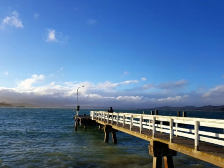 1581989750394.jpg?type=w773