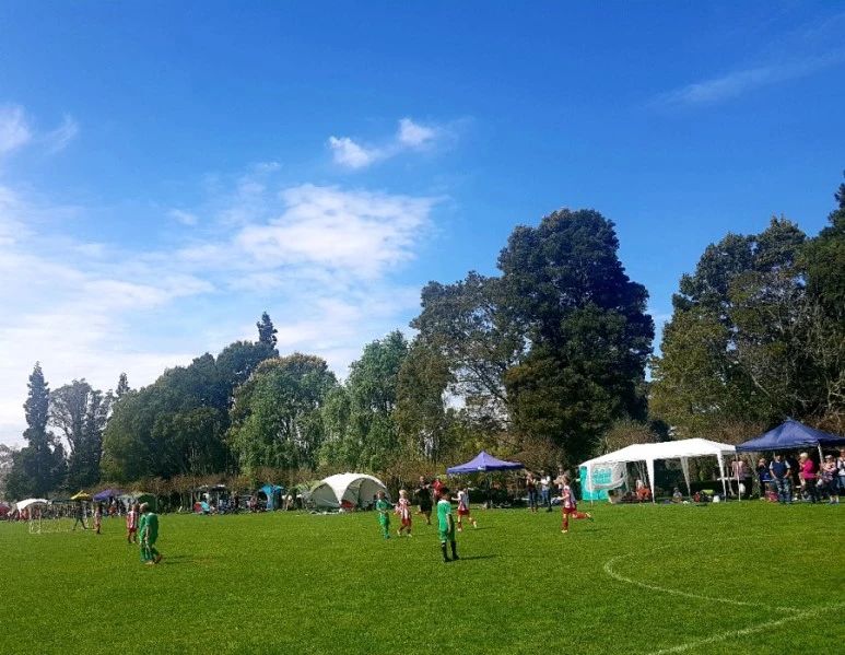 20180923_034324.jpg?type=w773