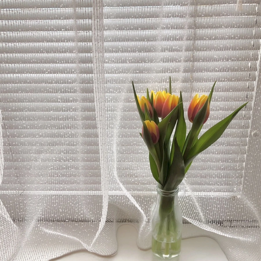 IMG_2321.jpg?type=w966