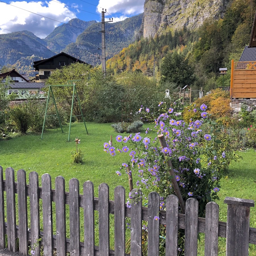 IMG_7682.jpg?type=w966