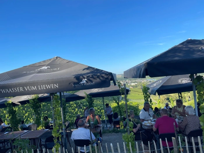 img.jpg?credential=yqXZFxpELC7KVnFOS48ylbz2pIh7yKj8&expires=1767193199&allow_ip=&allow_referer=&signature=d8ySMlzH1LJ%2FWz03NNFIxy5CFkY%3D