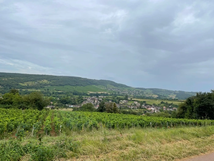 img.jpg?credential=yqXZFxpELC7KVnFOS48ylbz2pIh7yKj8&expires=1767193199&allow_ip=&allow_referer=&signature=JY1Psm0IcHcqy%2Fp3cQmPapp5pn0%3D