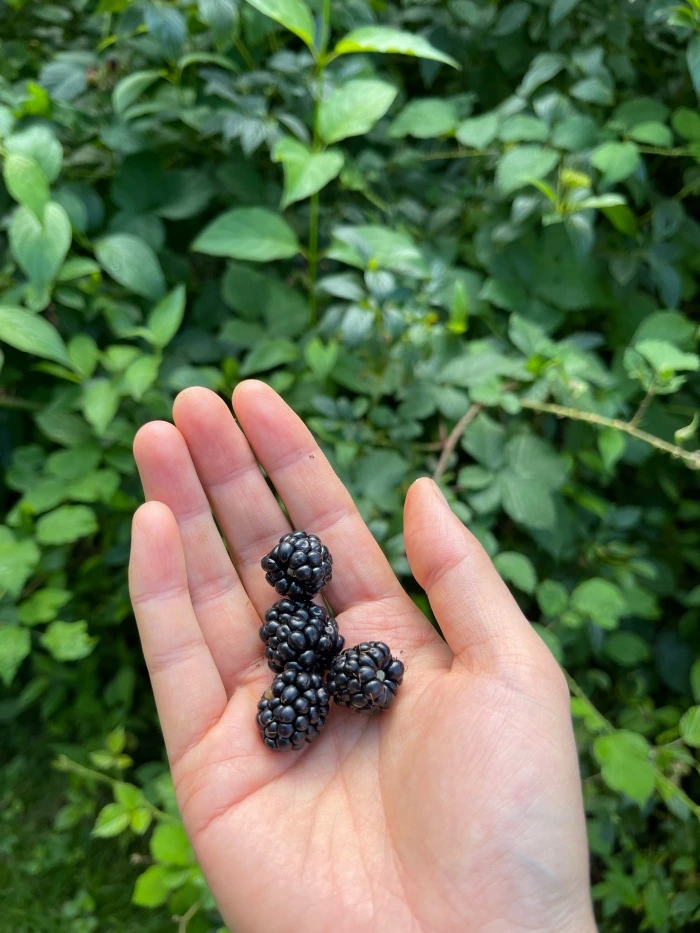 img.jpg?credential=yqXZFxpELC7KVnFOS48ylbz2pIh7yKj8&expires=1767193199&allow_ip=&allow_referer=&signature=wIU0BOZe4McsIkNtE87j7A%2BBJYU%3D