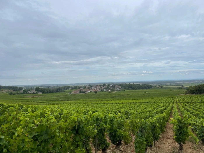 img.jpg?credential=yqXZFxpELC7KVnFOS48ylbz2pIh7yKj8&expires=1767193199&allow_ip=&allow_referer=&signature=rV93ZrZs0bLLFrLUhuH3br1BleU%3D