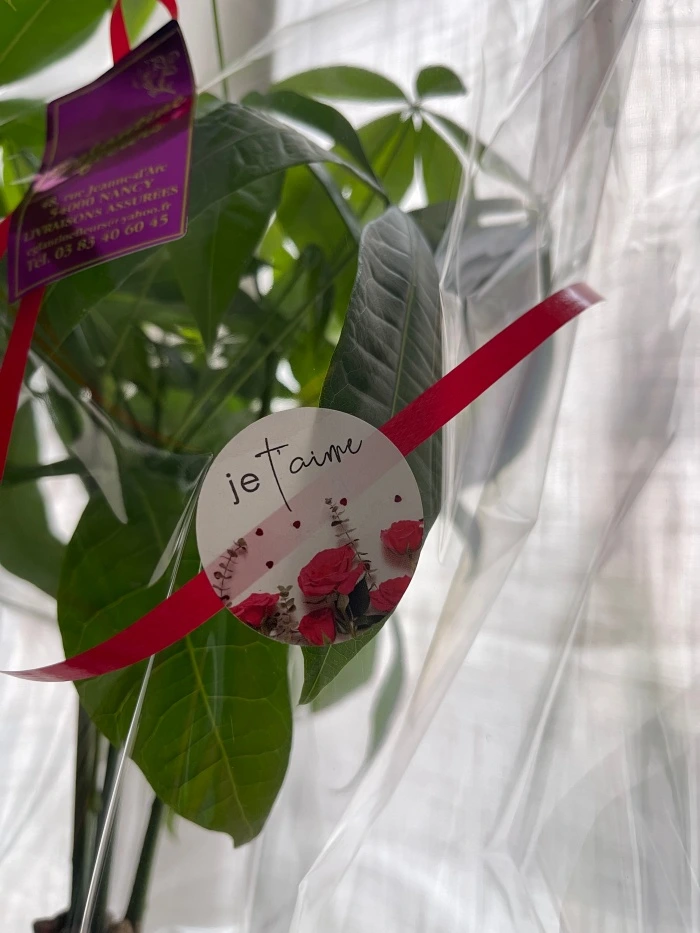 img.jpg?credential=yqXZFxpELC7KVnFOS48ylbz2pIh7yKj8&expires=1767193199&allow_ip=&allow_referer=&signature=LjhBUyvfRicCUXfIbhuy1Jv4dio%3D