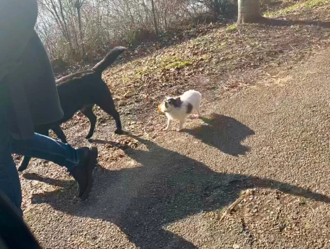 img.jpg?credential=yqXZFxpELC7KVnFOS48ylbz2pIh7yKj8&expires=1769871599&allow_ip=&allow_referer=&signature=HfggluKmVfrM%2BzVq2cC85BIH5AQ%3D